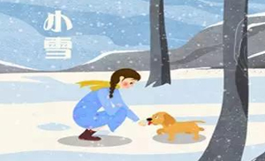 安氏亞森板材：小雪丨花開(kāi)天下暖，葉落天下寒